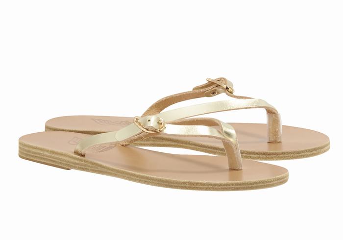 Flip Flops Ancient Greek Sandals Dihalo Leather Dama Aurii Albi | YIJ556QR