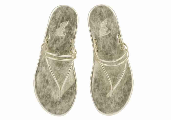 Flip Flops Ancient Greek Sandals E Dama Aurii Albi | WLK8822AN