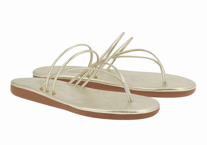 Flip Flops Ancient Greek Sandals E Dama Aurii Albi | WLK8822AN