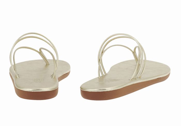 Flip Flops Ancient Greek Sandals E Dama Aurii Albi | WLK8822AN