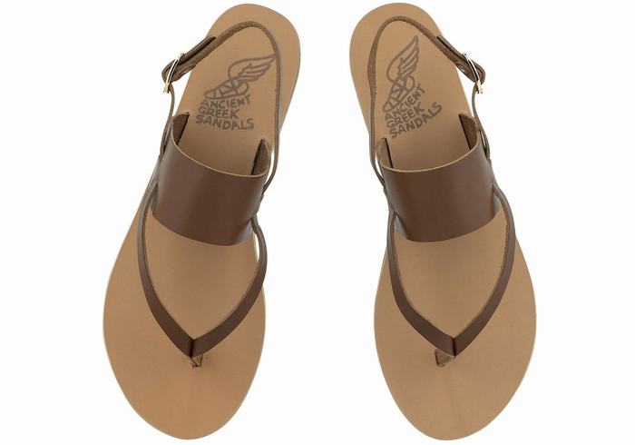 Sandale Cu Curea Din Spate Ancient Greek Sandals Zoe Flip Flop Leather Dama Maro Inchis | PQW4132QS