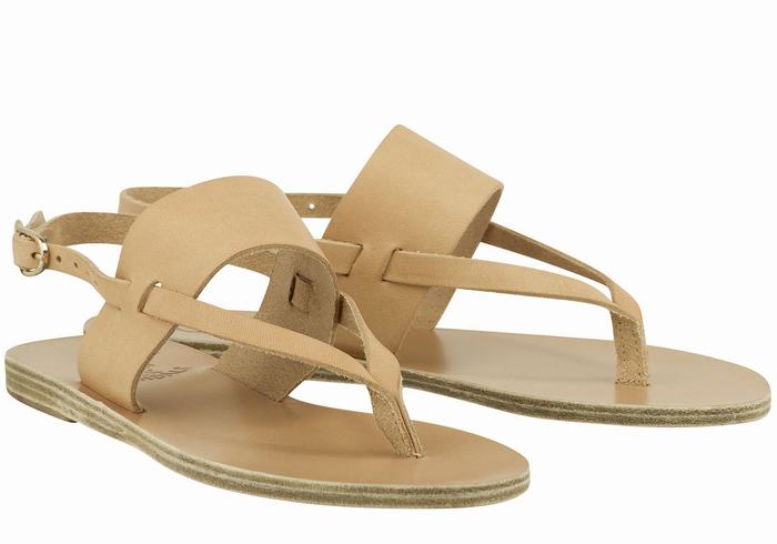 Sandale Cu Curea Din Spate Ancient Greek Sandals Zoe Flip Flop Leather Dama Bej | PAE259JL