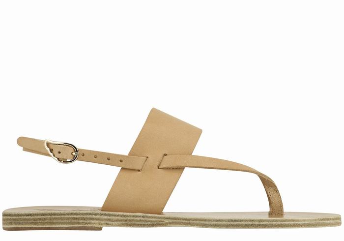 Sandale Cu Curea Din Spate Ancient Greek Sandals Zoe Flip Flop Leather Dama Bej | PAE259JL