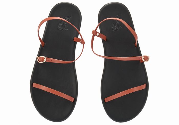 Sandale Cu Curea Din Spate Ancient Greek Sandals Niove Dama Maro Inchis | KLO425CO