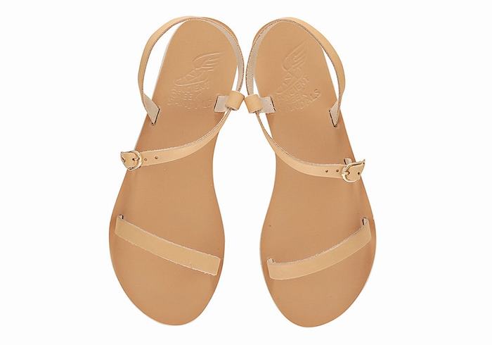 Sandale Cu Curea Din Spate Ancient Greek Sandals Niove Leather Dama Bej | VWV6411JO