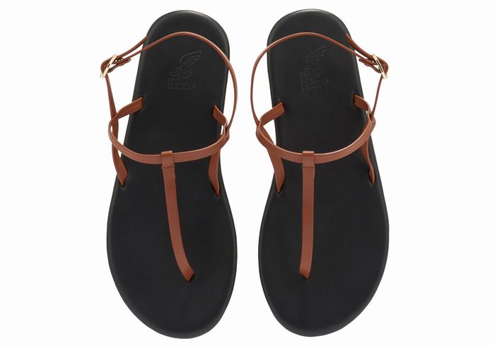 Sandale Cu Curea Din Spate Ancient Greek Sandals Lito Flip Flop Dama Maro Inchis | PFL4968CR