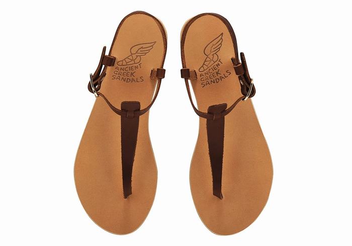 Sandale Cu Curea Din Spate Ancient Greek Sandals Lito Flip Flop Leather Dama Cafe | LCT6564WQ