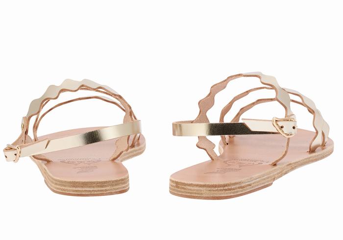 Sandale Cu Curea Din Spate Ancient Greek Sandals Clio Onda Dama Aurii Albi | TFM6144TB