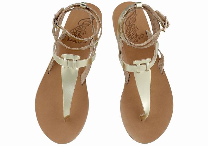 Sandale Cu Curea Pe Glezna Ancient Greek Sandals Estia Leather Dama Aurii Albi | UYU615HZ