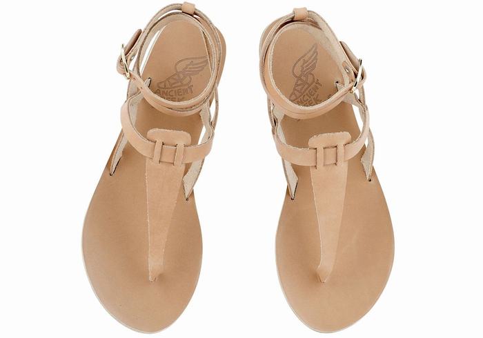 Sandale Cu Curea Pe Glezna Ancient Greek Sandals Estia Leather Dama Bej | ELJ3714SO