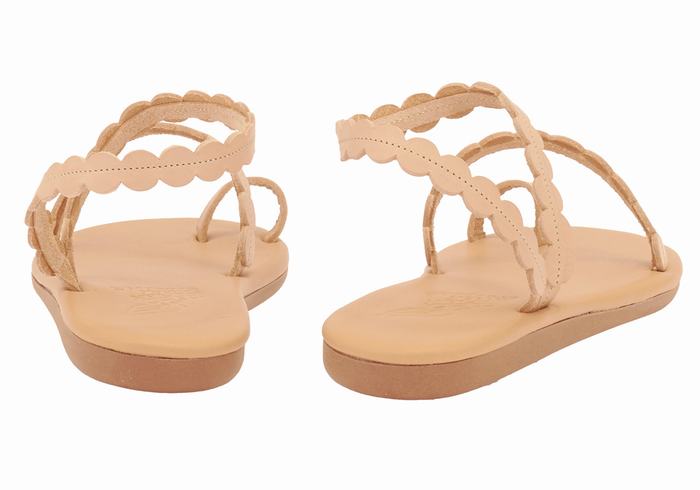 Sandale Cu Deget Ancient Greek Sandals Aura Dama Bej | MFX316RQ