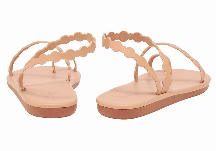 Sandale Cu Deget Ancient Greek Sandals Cronos Dama Bej | LXE6368DB