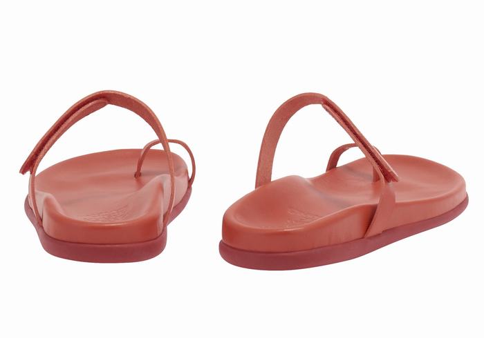 Sandale Cu Deget Ancient Greek Sandals Dokos Dama Rosii | CIK927RW