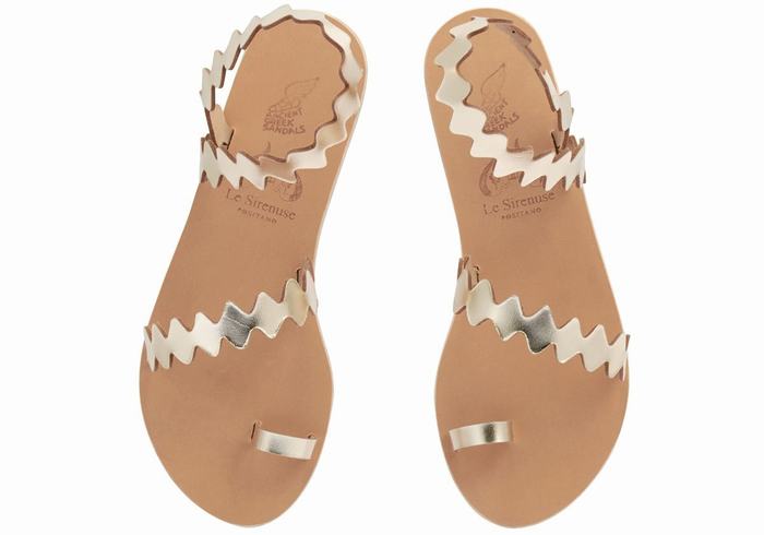 Sandale Cu Deget Ancient Greek Sandals Eleftheria Onda Dama Aurii Albi | BEC312DA