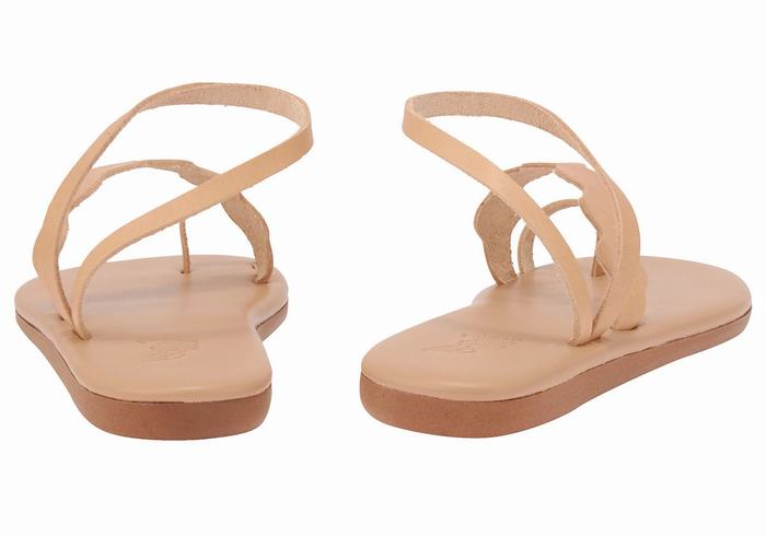 Sandale Cu Deget Ancient Greek Sandals Koralia Dama Bej | DSM7236VU