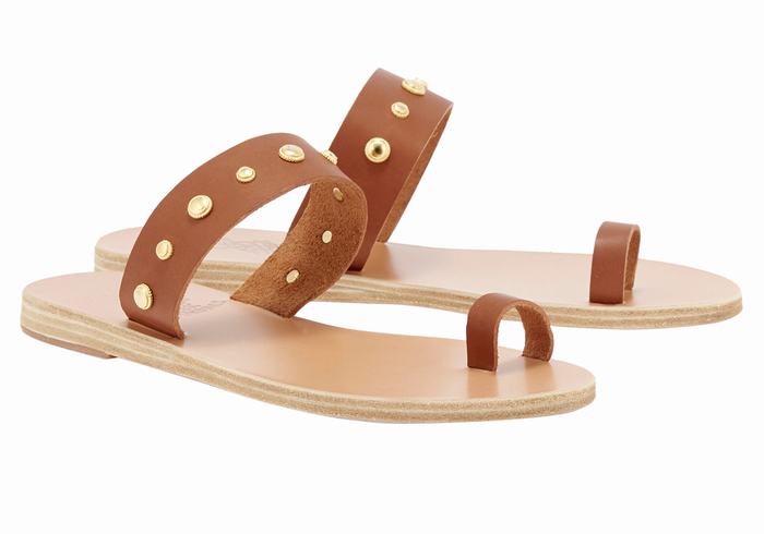 Sandale Cu Deget Ancient Greek Sandals Thalia Bee Dama Maro Inchis | OGW214BO