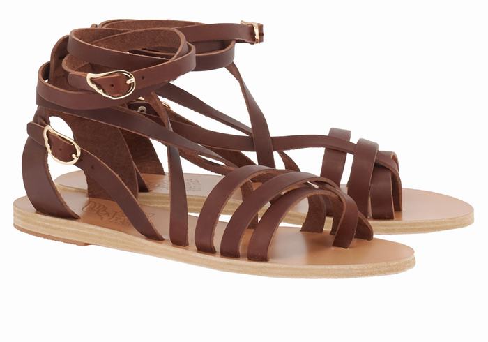 Sandale Gladiator Ancient Greek Sandals Satira Leather Dama Cafe | MRR9353NC