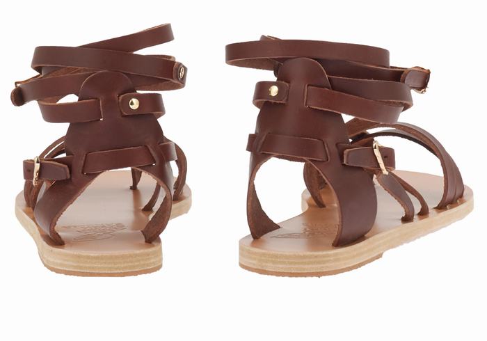 Sandale Gladiator Ancient Greek Sandals Satira Leather Dama Cafe | MRR9353NC