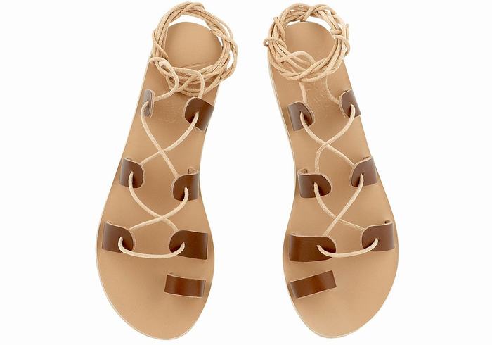 Sandale Gladiator Ancient Greek Sandals Alcyone Leather Dama Maro Inchis | FNM4759KH